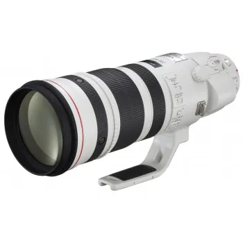 Canon EF 200-400mm f/4L IS USM Extender 1.4x